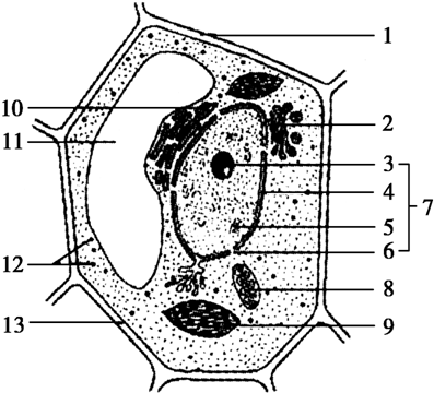 关于{ k1=g1 }